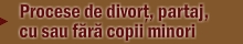 Procese de divort, partaj, cu sau fara copii minori Suceava
